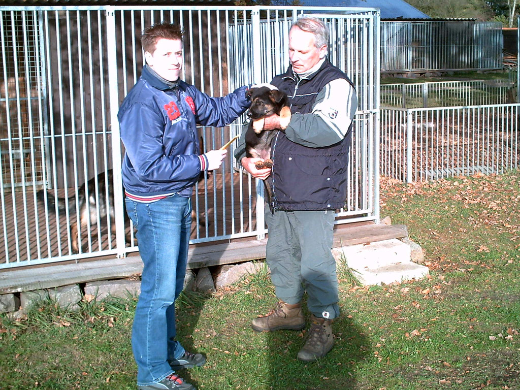 Hundeschule Wolf - Hundeverkauf